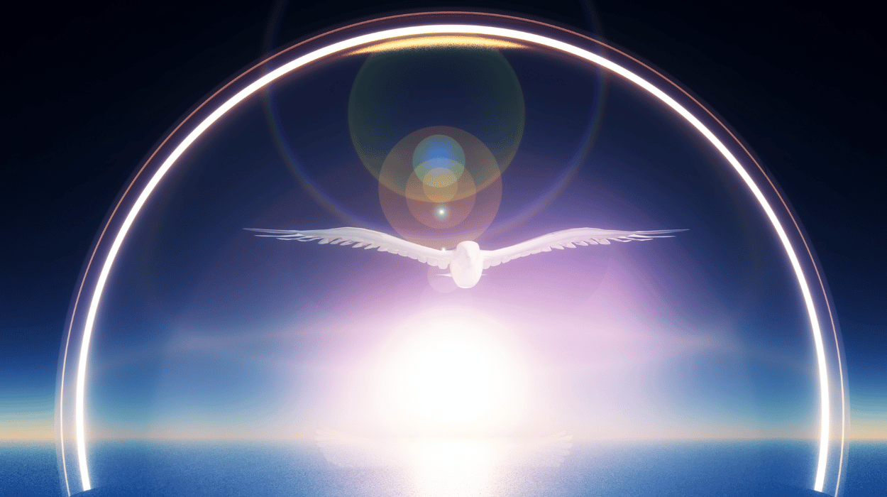 Understanding the 3D to 5D Shift