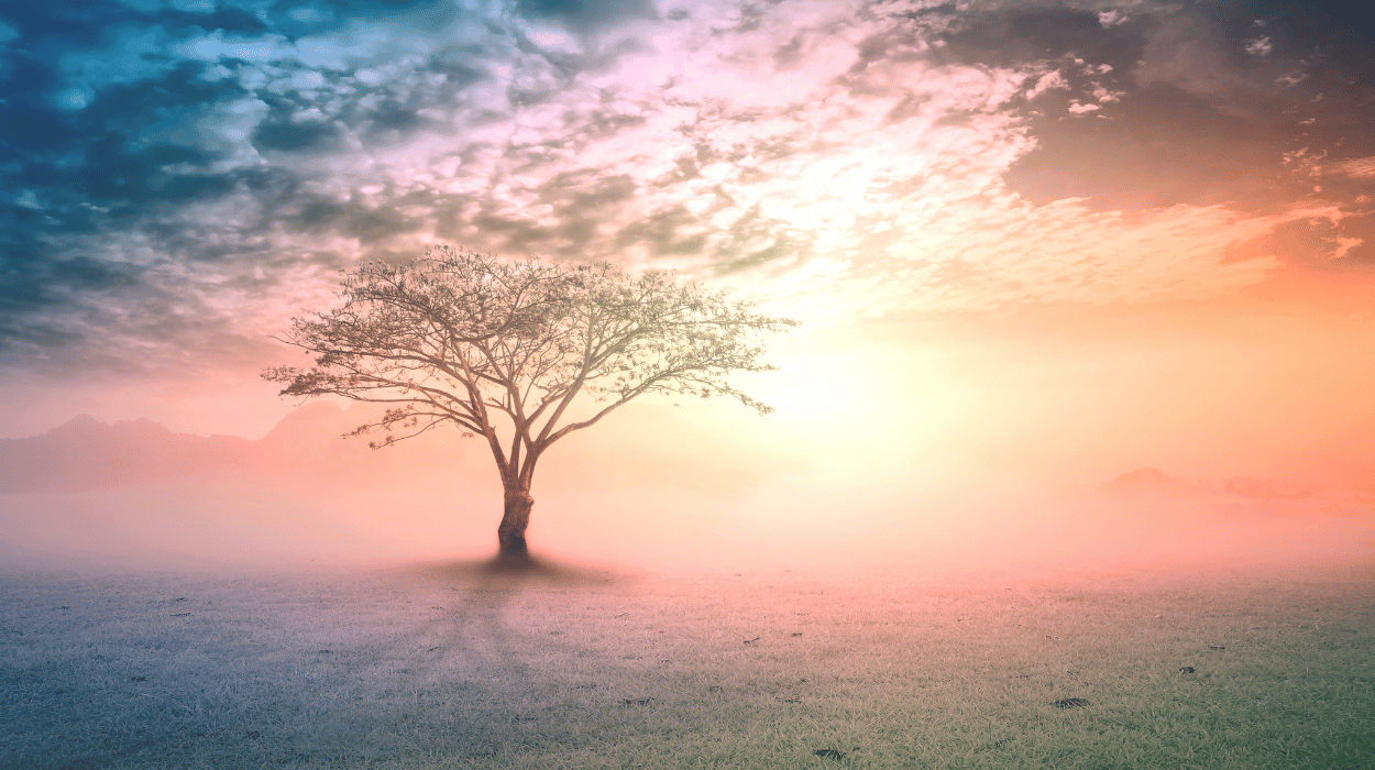 Signs You Are Experiencing a Spiritual Awakening